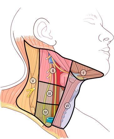 Chirurgie thyroïdienne – Toulouse Thyroide
